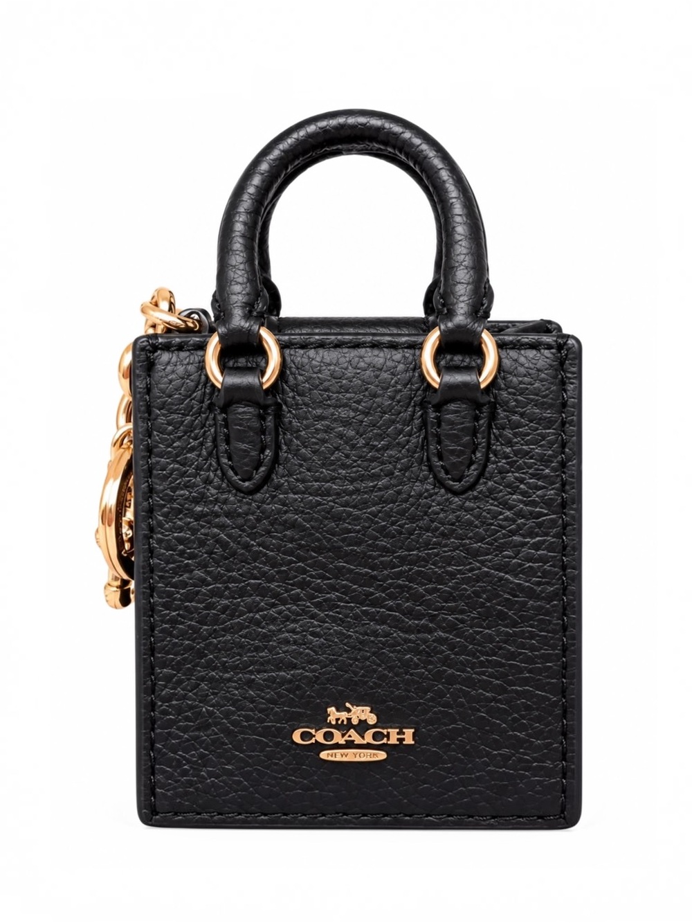 Coach North South Mini Tote